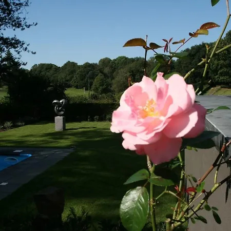 Hazegrietje Bed & Breakfast