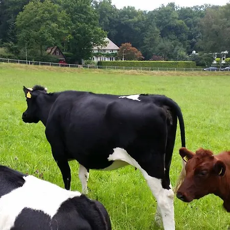 Bed & Breakfast Hazegrietje Arnhem